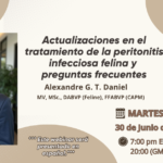 Webinar: Actualizaciones en el tratamiento de la peritonitis infecciosa felina y preguntas frecuentes