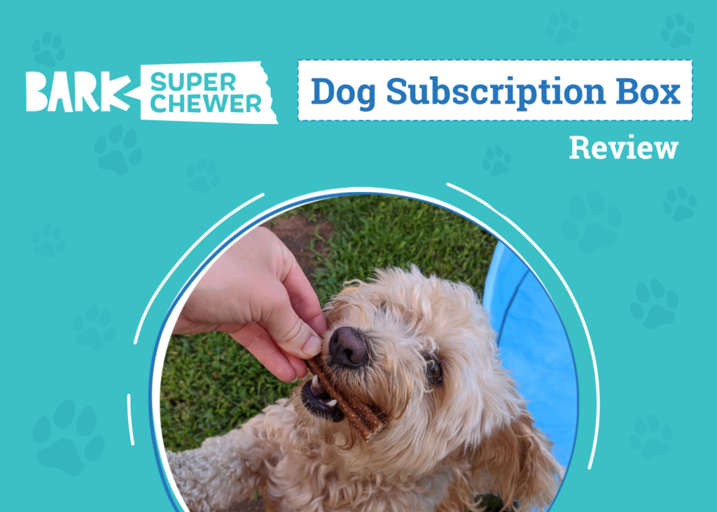 Super Chewer by BARK Review 2026: An Expert’s Breakdown — Dogster