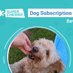 Super Chewer by BARK Review 2026: An Expert’s Breakdown — Dogster