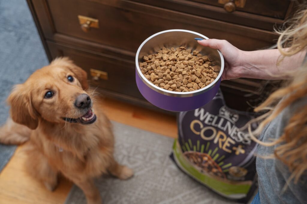 The 1-Pound Rule: How Weight Changes Impact Your Dog’s Joints