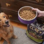 The 1-Pound Rule: How Weight Changes Impact Your Dog’s Joints