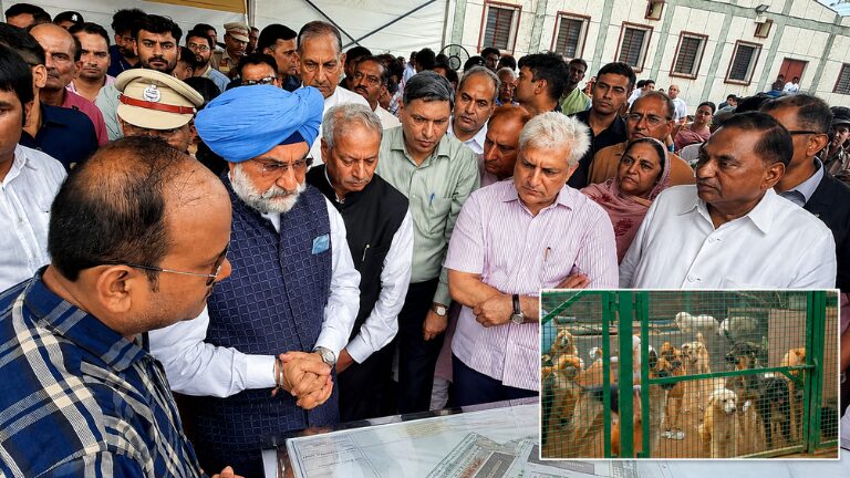 L-G Lays Foundation for Delhi’s First Dedicated Dog Shelter