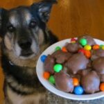 Dog Chocolate Toxicity Calculator | Pet Poison Helpline