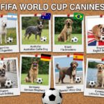 The Ultimate World Cup Dog Team: Famous Breeds From Soccer’s Biggest Nations
