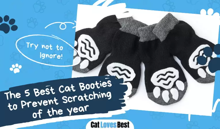 The 5 Best Cat Booties to Prevent Scratching in 2026