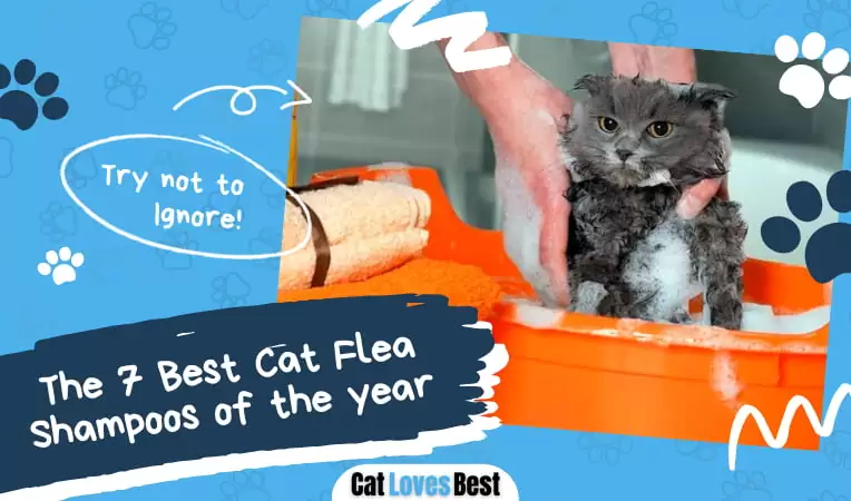 The 7 Best Cat Flea Shampoos of 2026