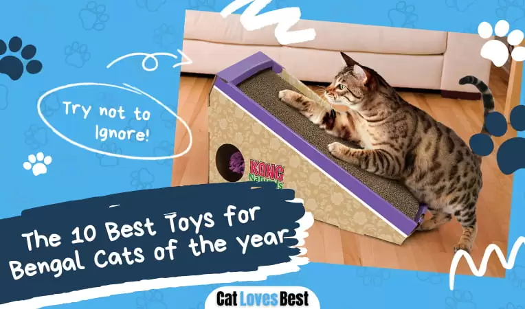 The 10 Best Toys for Bengal Cats of 2026