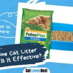 Feline Pine Cat Litter Review