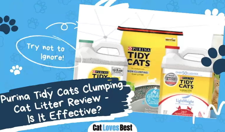 Purina Tidy Cats Clumping Cat Litter Review
