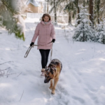 Festive Holiday Recipes for your Dog