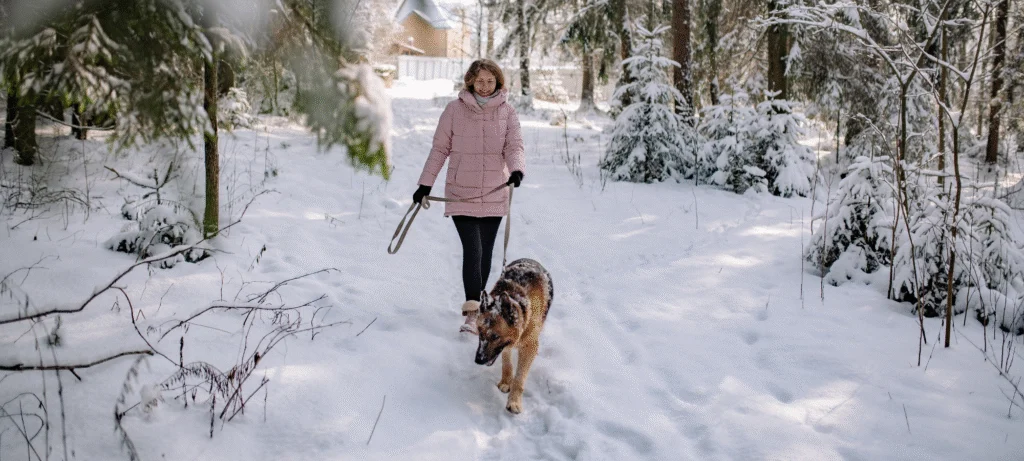 Festive Holiday Recipes for your Dog