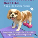 Canine Fitness and Fun at Home | Interview with Animal Physical Therapist Dr. Sam Wisbon Amodeo