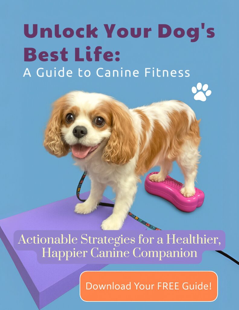 Canine Fitness and Fun at Home | Interview with Animal Physical Therapist Dr. Sam Wisbon Amodeo
