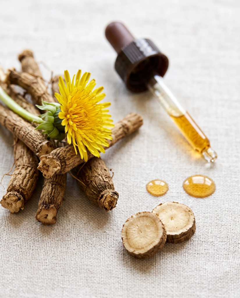 How Dandelion Root Liquid Extract Shapes the Microbiome (Without the F