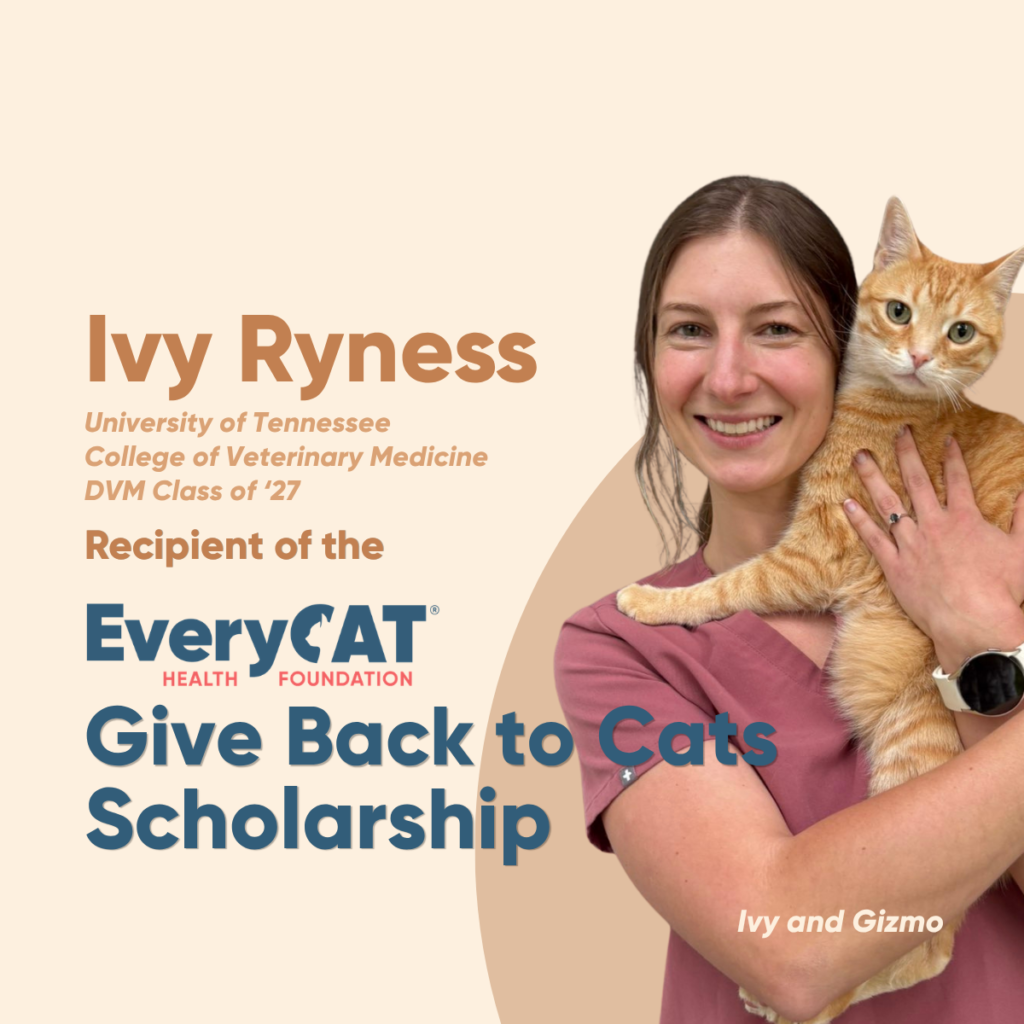 “Why Cats”, An Essay by Ivy Ryness, EveryCat Health Foundation’s “Give Back to Cats” Scholarship Recipient