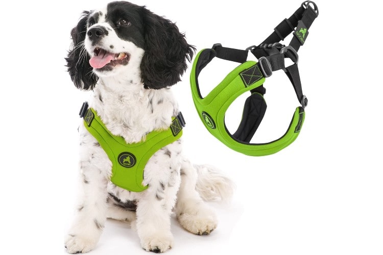 Gooby Dog Harness Escape Free Sport Review