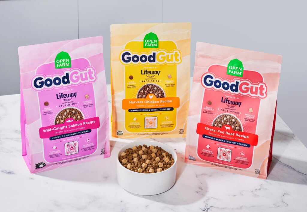 Dog Gut Health, Explained by a Veterinary Nutritionist – Open Farm