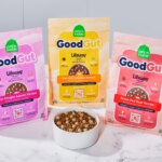Dog Gut Health, Explained by a Veterinary Nutritionist – Open Farm