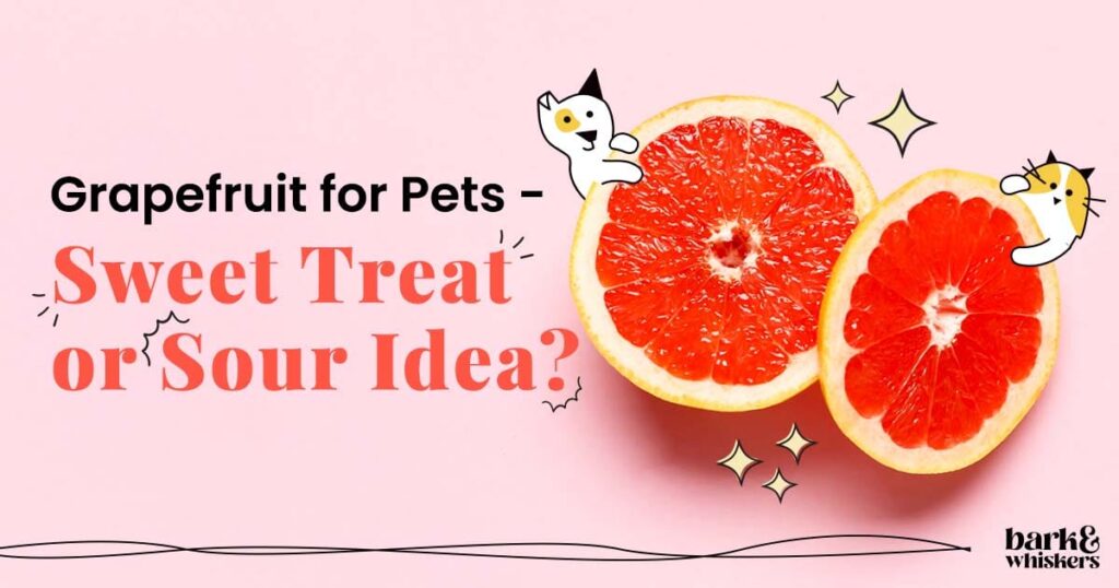 Is Grapefruit Good for Pets?