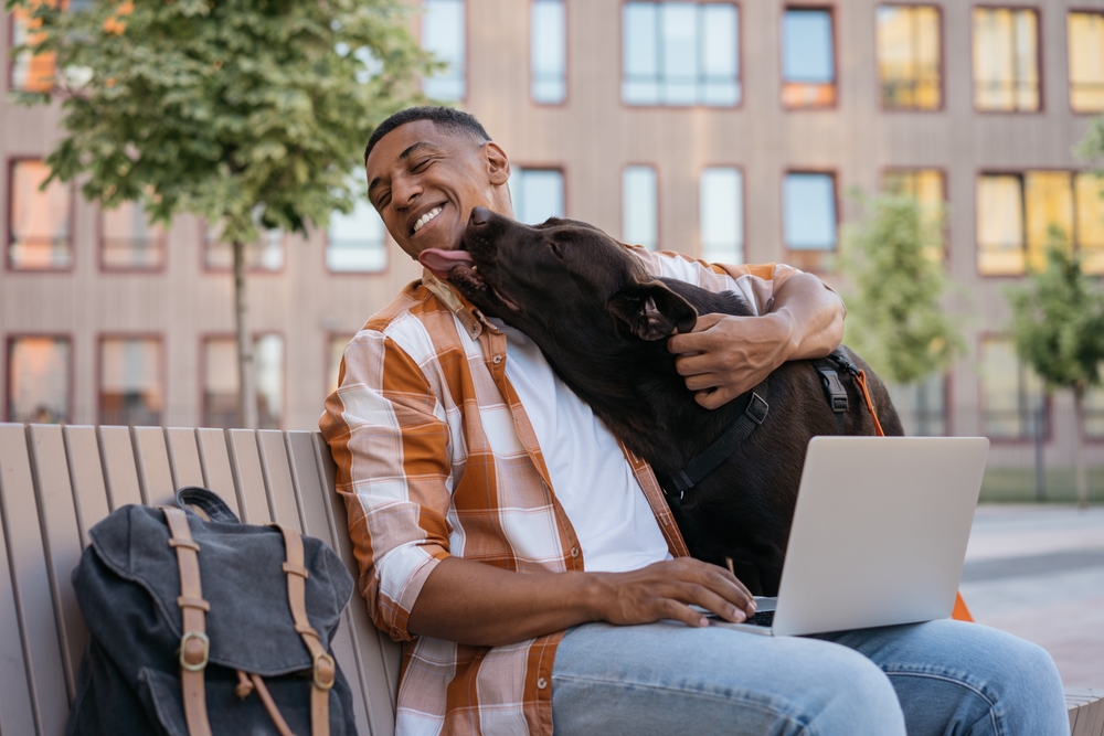 13 Dog-Friendly Colleges in the United States: Tips & Restrictions — Dogster
