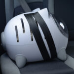 How to Train Your Cat to Use a Pet Carrier