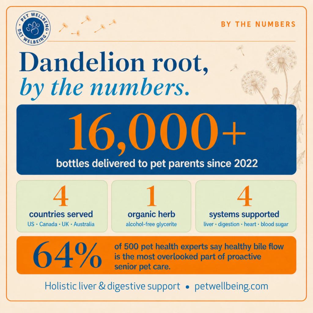 Title: Dandelion Root, By the Numbers: What 16,000+ Bottles (and 500 P