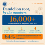 Title: Dandelion Root, By the Numbers: What 16,000+ Bottles (and 500 P