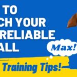 Mastering Dog Recall: Proven Training Secrets