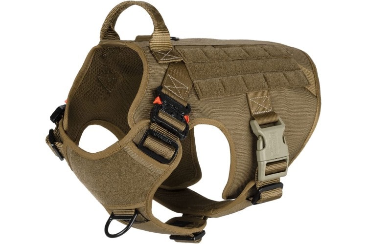 ICEFANG Tactical Dog Harness Review