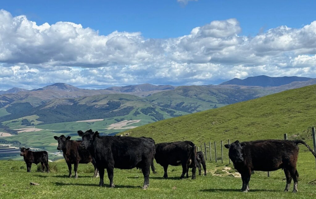 Small Changes, Big Impact: A Closer Look at Regenerative Agriculture – Open Farm