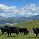 Small Changes, Big Impact: A Closer Look at Regenerative Agriculture – Open Farm