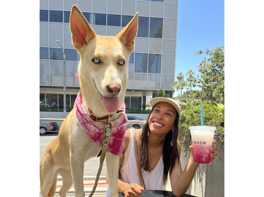Supplement Brand Native Pet Appoints Ariel Stoddard as Chief Marketing Officer