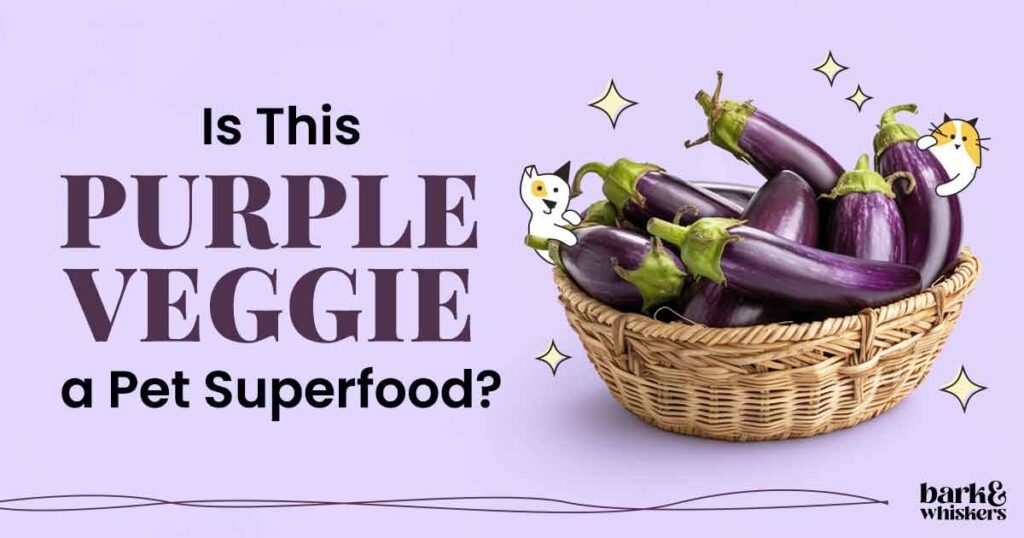 Can You Feed Eggplant to Your Pet?