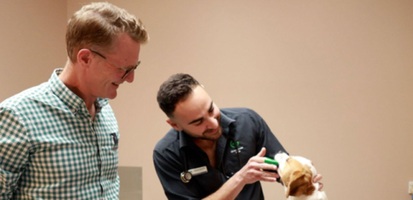 Bill buster, Joel Gibson on ways to save on pet dental care