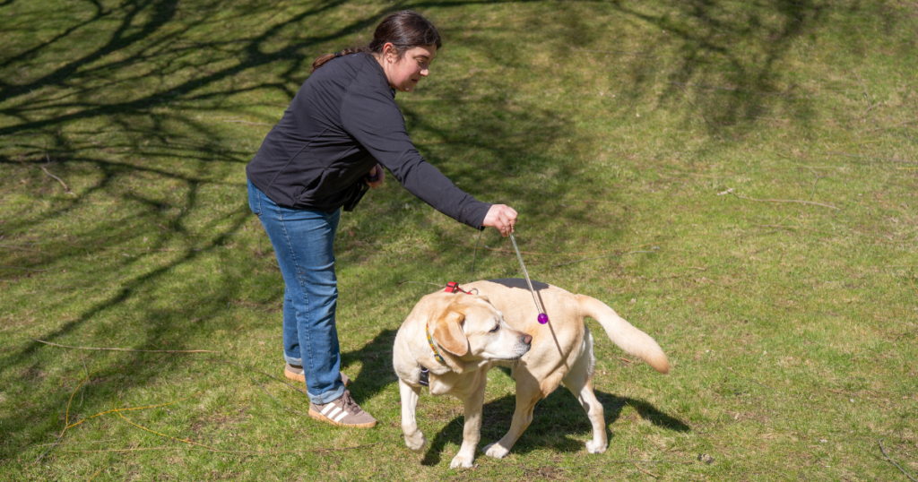 Ignore Unwanted Behavior in Dog Training Explained Karen Pryor Clicker Training |