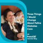 Three Things I Would Change About Feline Diabetes Care
