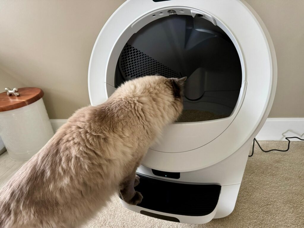 Litter-Robot 4 vs. 5 vs. 5 Pro: Which One Is Actually Worth It?