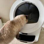 Litter-Robot 4 vs. 5 vs. 5 Pro: Which One Is Actually Worth It?