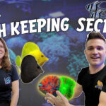 The “Apple Store” of Aquariums: Why the Hype is Real for Lush Corals (Plus Their Reefapalooza Debut!) | Reef Builders