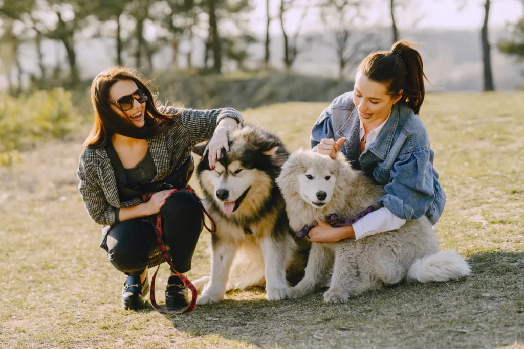 How Early Socialization Shapes a Dog’s Behavior for Life