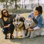 How Early Socialization Shapes a Dog’s Behavior for Life