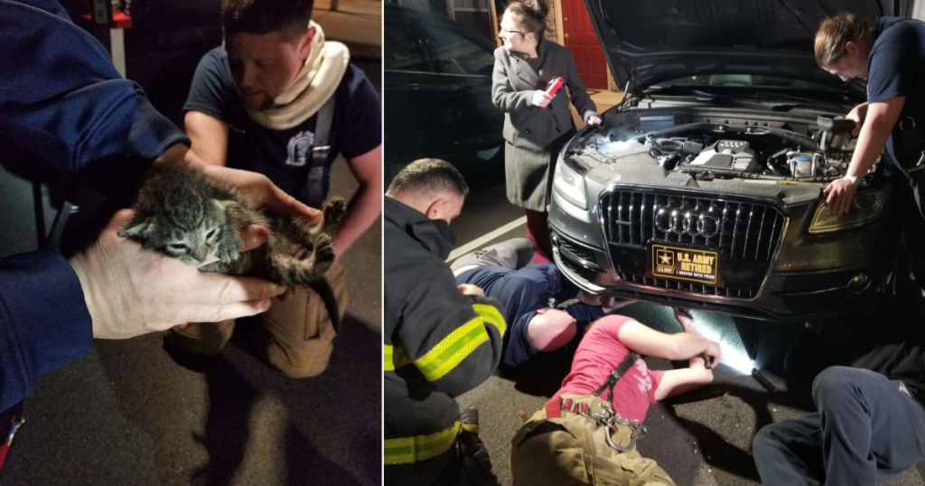 ‘Lincoln’ Finds A Scary Spot To Hide During Severe Storms And Ends Up Needing Some Help