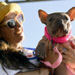 Hairless Bulldog Petunia wins World’s Ugliest Dog contest
