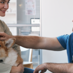 Spectrum of Care in Veterinary Medicine and the Role of the Veterinary Nurse