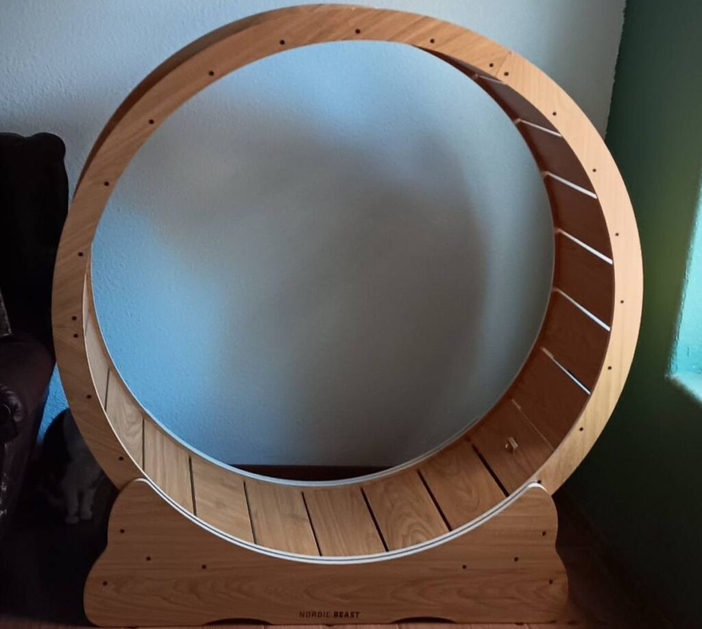 Nordic Beast Cat Exercise Wheel Review