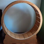 Nordic Beast Cat Exercise Wheel Review