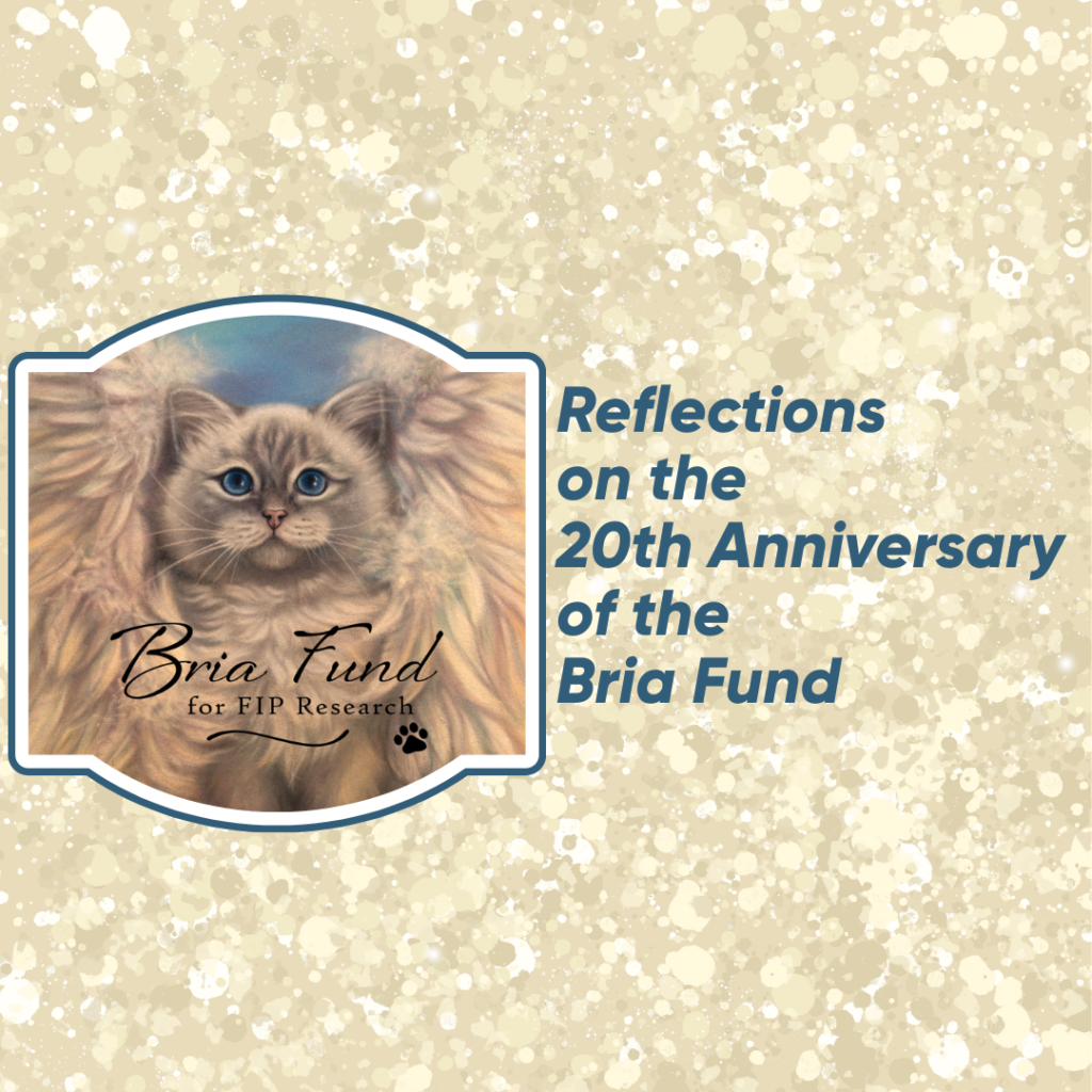 Reflections on the 20th Anniversary of the Bria Fund