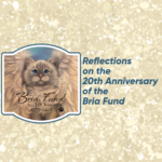 Reflections on the 20th Anniversary of the Bria Fund