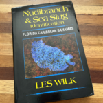 Caribbean Nudibranch ID Book Now Available | Reef Builders