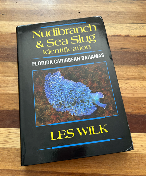 Caribbean Nudibranch ID Book Now Available | Reef Builders